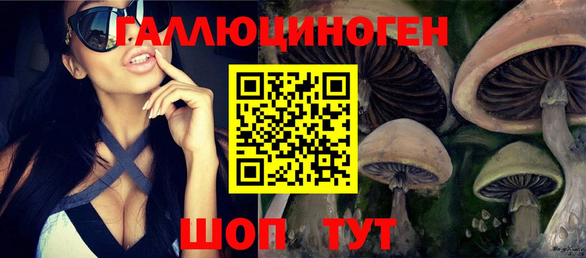 Галлюциногенные грибы GOLDEN TEACHER Урюпинск