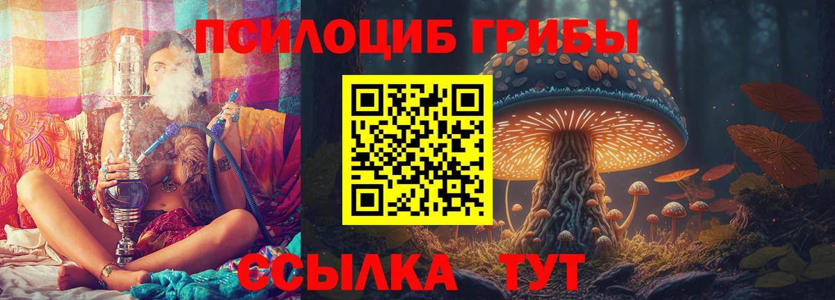 Урюпинск  Галлюциногенные грибы мухоморы  Вход с VPN 